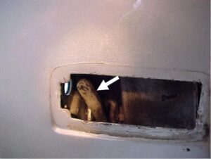 Door Handle – Removal, Installation, and Adjustment-8-door_handle_white_plastic_piece